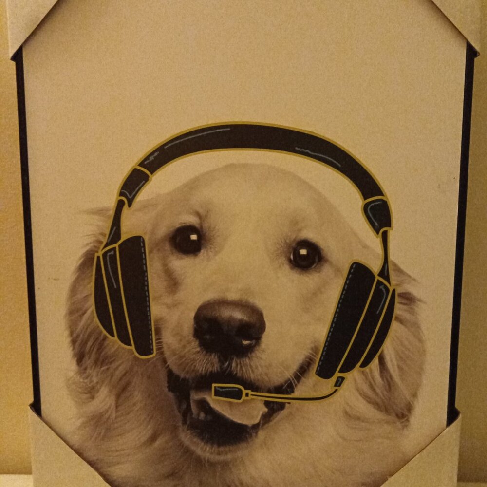 Golden Retriever Dog with Headset Framed Wall Art 🐾